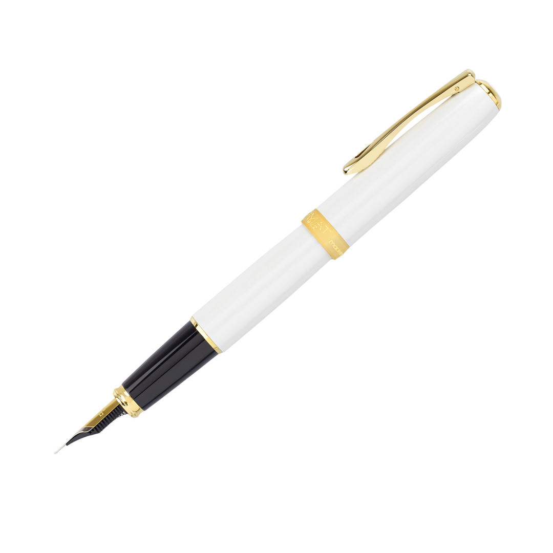 Excellence A² Fountain Pen - Gold Trim