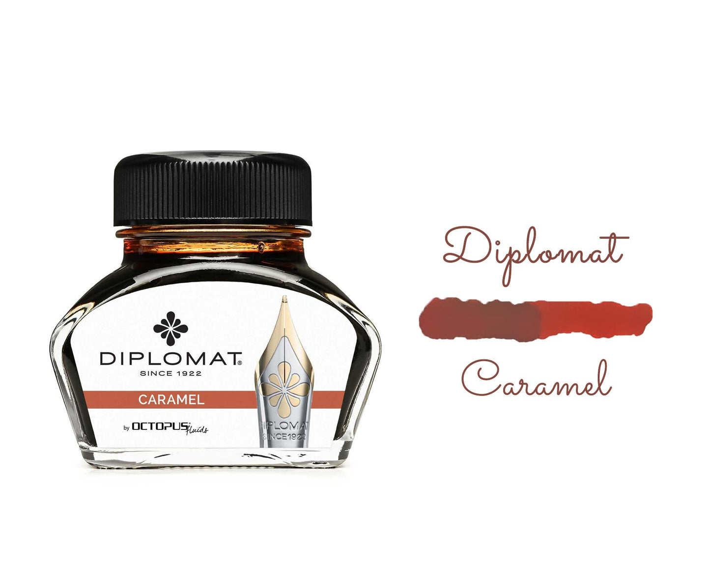 Fountain Pen Ink