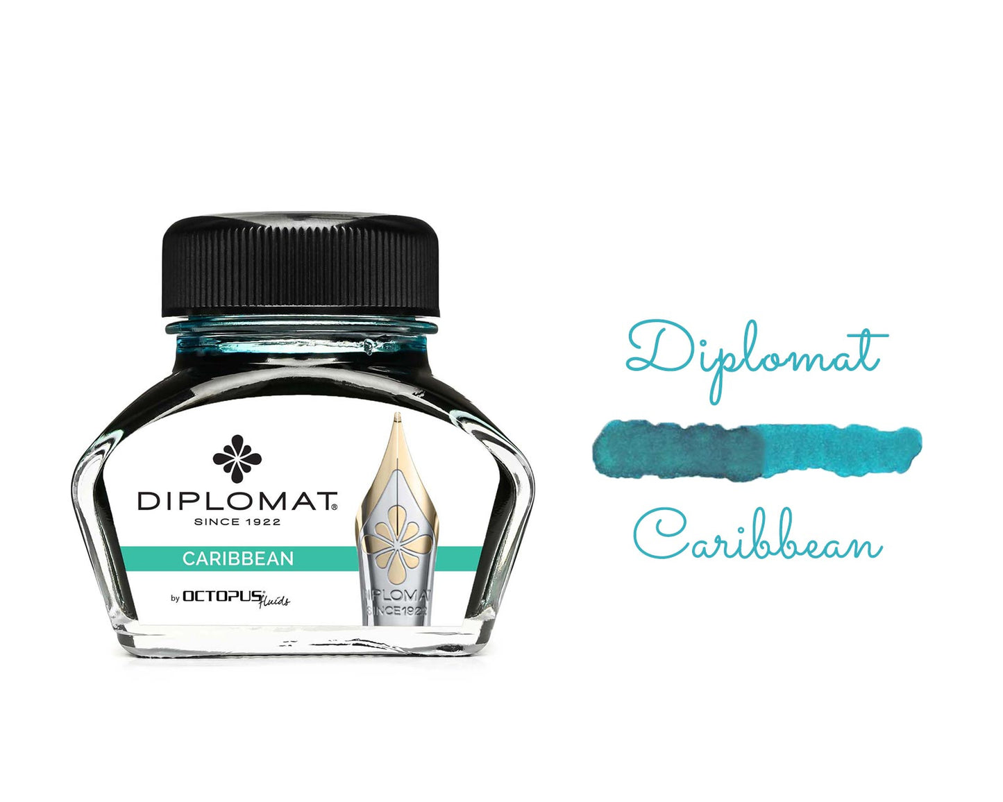 Fountain Pen Ink