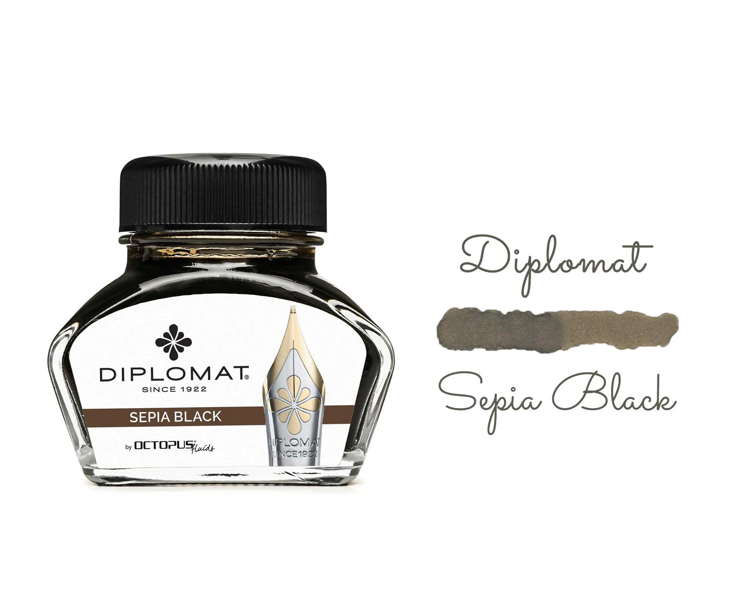 Fountain Pen Ink