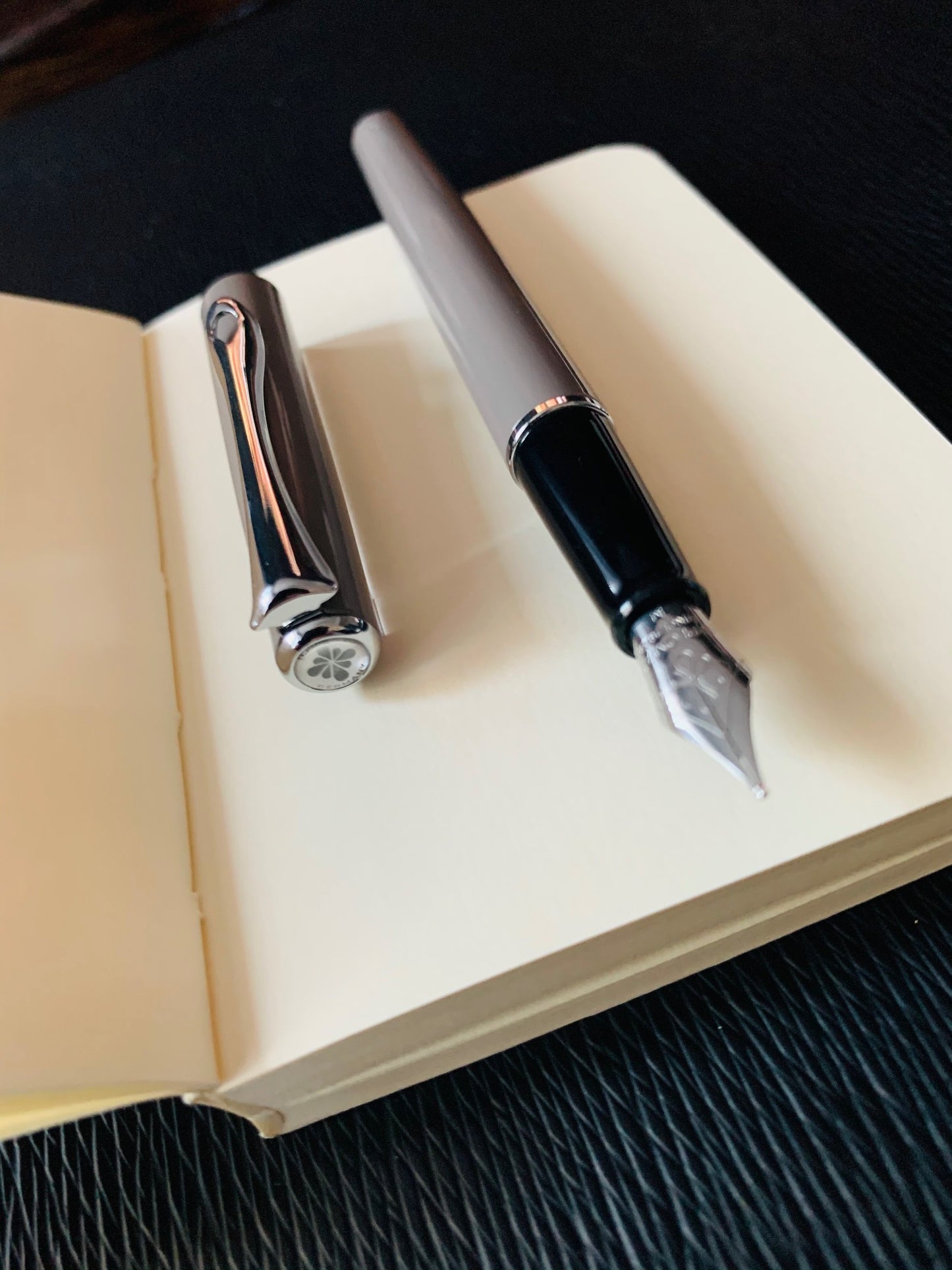 Traveller Fountain Pen
