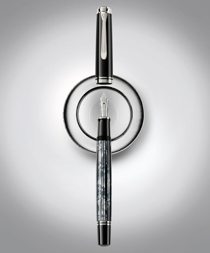 Souverän M605 Tortoiseshell-Black Special Edition Fountain Pen